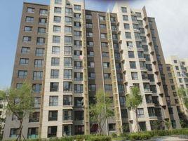 麗都新城一期 麗都新城一期