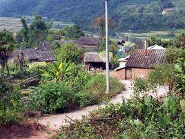 丫口寨村[雲南省景洪市普文鎮丫口寨村]
