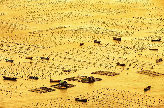 上海周邊竟藏了個“中國的巴厘島”,4h直達,美到犯規!