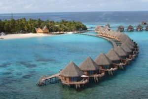 馬爾地夫藍色美人蕉島酒店 馬爾地夫藍色美人蕉島酒店