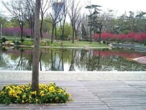 濰坊市人民公園 濰坊市人民公園