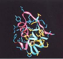中國科學院上海有機化學研究所