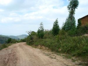 銀廠箐村 銀廠箐村