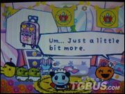 《寵物雞小店》