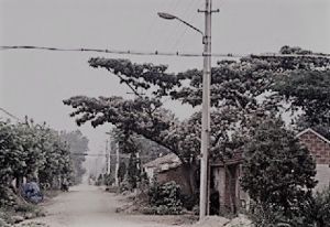 前紅石村 前紅石村