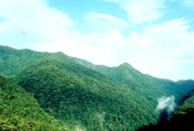 涇渭濕地省級自然保護區 涇渭濕地省級自然保護區