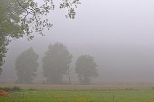 霧靄[氣象現象]