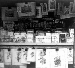 《論美國的民主》