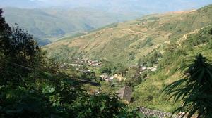 金竹田自然村 金竹田自然村