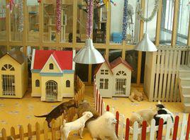 寵物寄養 寵物寄養