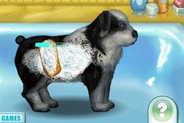 寵物小狗養成記 寵物小狗養成記