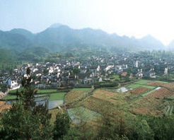 下營鎮常州村 下營鎮常州村