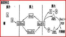 基團移位 基團移位