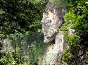 獨鯉朝崗 獨鯉朝崗