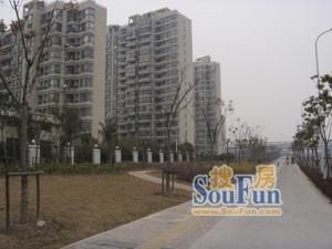 金禾新苑 金禾新苑