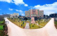 墊江縣大石鄉政府