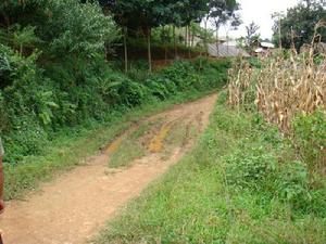 嘎洪下寨自然村