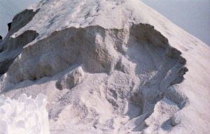 射陽鹽場 射陽鹽場