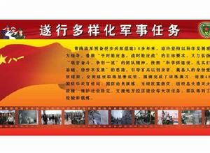 多樣化軍事任務體系 多樣化軍事任務體系