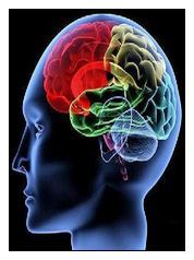 額葉綜合徵 額葉綜合徵