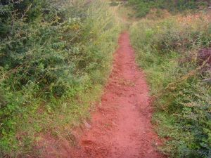 木瓜屋村 木瓜屋村