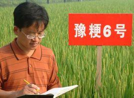 王書玉[新鄉市農業科學院秋糧研究所所長]