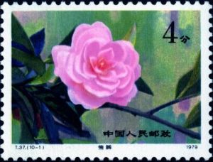 T37 《雲南山茶花》 T37 《雲南山茶花》