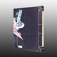 曹雪芹風箏藝術 曹雪芹風箏藝術