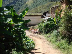 上黃山村 上黃山村