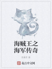 海賊王之海軍傳奇