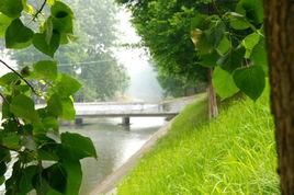 武鎮百里長渠 武鎮百里長渠