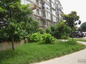 青石村小區 青石村小區