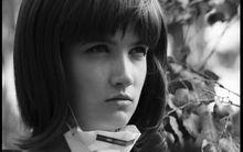 飛蛾[2013年烏克蘭電視劇]