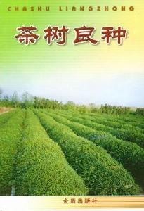 茶樹良種 茶樹良種