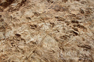 諸城恐龍足跡群 諸城恐龍足跡群