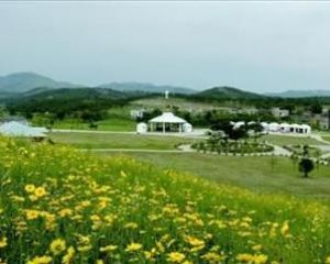 木蘭草原 木蘭草原