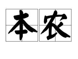 本農 本農
