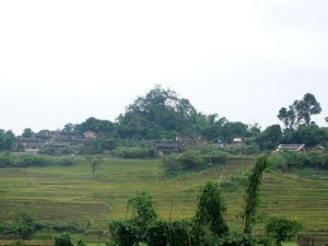 勐片自然村 勐片自然村