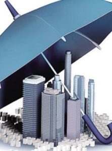 大鵬新區 大鵬新區