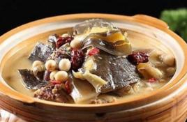 蒸貝母甲魚湯 蒸貝母甲魚湯