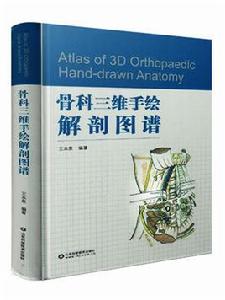 骨科三維手繪解剖圖譜 骨科三維手繪解剖圖譜