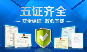 178遊戲 五證齊全