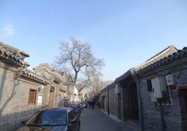 車子胡同 車子胡同