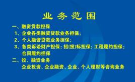 柳州正菱集團有限公司 柳州正菱集團有限公司