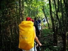 官山國家級自然保護區 官山國家級自然保護區