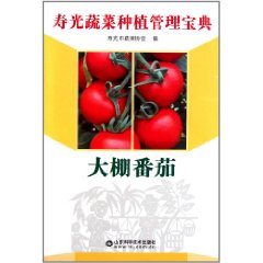大棚番茄