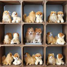 BOO（圖源：台灣東森新聞雲）