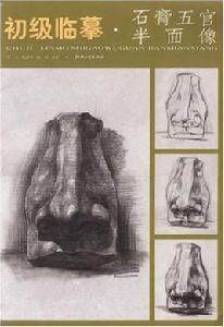 初級臨摹:石膏五官半面像 初級臨摹:石膏五官半面像