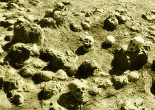 武陽[周朝燕國國都]