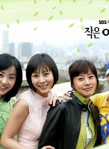 小婦人[韓國2004年朴藝珍主演SBS電視劇]